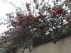P1190035